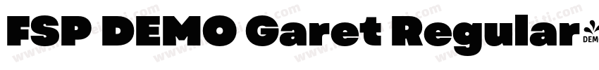 FSP DEMO Garet Regular字体转换